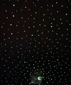 Glow in The Dark Stars Wall Stickers, Adhesive Dots and Moon for Starry Sky, Galaxy Decor Bright and Realistic for Any Room (Green) Green 42 91Ma2NmmdL