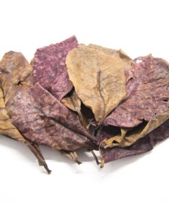 Aquatic Arts 10 Giant Catappa Indian Almond Leaves for Aquarium Use 13 91MeB25xNQL