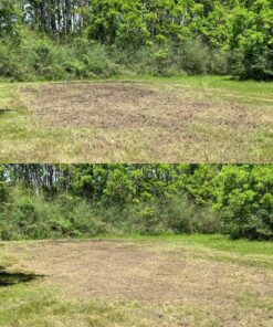 Eden Brothers Southeast Wildflower Mixed Seeds for Planting, 1 lb, 480,000+ Seeds with Cornflower, Blanket Flower | Attracts Pollinators, Plant in Spring or Fall, Zones 3, 4, 5, 6, 7, 8, 9, 10 1 Pound 50 91MeO4VjBL