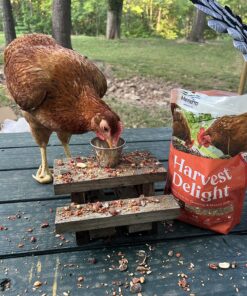 Manna Pro Harvest Delight - Whole Ingredient Chicken Treat - Harvest Mix of Grains, Raisins, Tomatoes, Carrots, Sunflower Seeds - Mixed Flock Poultry Treat - 2.5 lbs 24 91MgJQw07jL