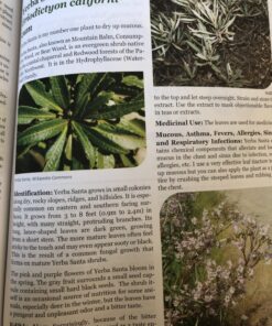 The Lost Book of Herbal Remedies 44 91Mjz73GZpL