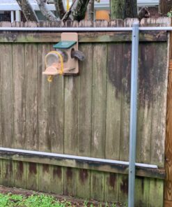 Birds Choice SNSQJAR Recycled Squirrel Jar Feeder, Squirrel Feeders, 7-1/4"L X 19"W X 15-3/4"H, Taupe w/ Green Roof 43 91MnUyVZapL