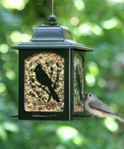 Perky-Pet 363 Birds and Berries Lantern Feeder 8.20 x 8.20 x 10.75 inches 11 91MnxTg8eL