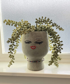 ARTEZA Outdoor Acrylic Paint Set, 20 Colours, 59 ml Bottles, with Storage Box, Rich Pigments, Multi-Surface Paints for Rock, Wood, Fabric, Leather, Paper, Crafts, Canvas and Wall Painting 20 x 59ml (2 fl oz) Outdoor 46 91MsDKmCztL