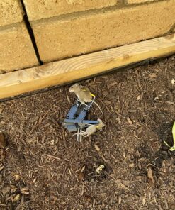 Mouse Trap Mouse Traps Indoor Mouse Traps for House Mouse Traps Outdoor Mice Traps for House Indoor 6 Pack M1-6 Packs 27 91MuHySUKGL