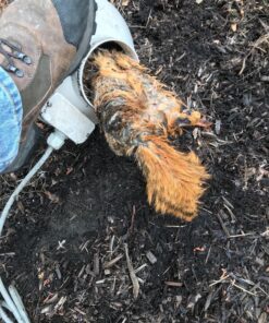 RadonAway 23029-1 RP140 Radon Mitigation Fan, 4",White 135 CFM 26 91MukN8hChL