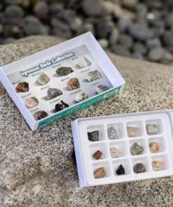 Educational Insights Igneous Rock Collection, Ages 8 and up, Set of 12 Handpicked Specimens in a Storage Tray 7 91N0yamvl3L