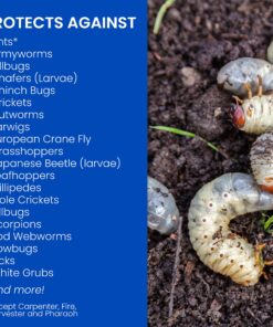 BioAdvanced 24-Hour Grub Plus for Lawns Ant, Tick, and Insect Killer, 10-Pounds, Ready-to-Spread Granules, Standard Bag 22 91N8ccuO2VS