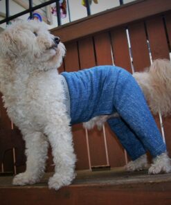 Mozzie Pants Walking Dog Pants, E-Collar Alternative, Dog Pajamas, X-Small Dog, Blue 13 91N9C1Au74L