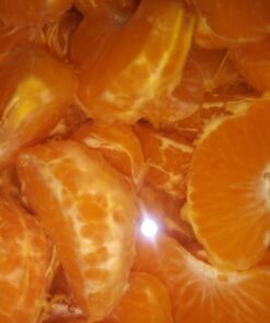 Liquid Pectic Enzyme 0.5 oz 15 91NBYlrxNxL