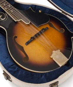 Gator Cases Journeyman Series Deluxe Wood Case for Mandolin; Fits Both A & F Style (GW-JW MANDOLIN) 18 91NGbeKc52L