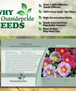Outsidepride Indian Springs Hollyhock Garden Flower Climbing Vine Plant Mix - 1000 Seeds Indian Spring 22 91NYy6qzyvL