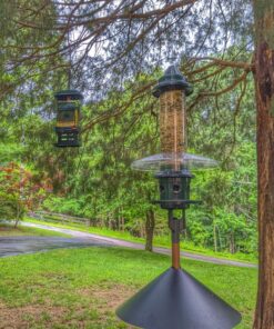 Squirrel Buster Plus Squirrel-proof Bird Feeder w/Cardinal Ring and 6 Feeding Ports, 5.1-pound Seed Capacity, Adjustable, Pole-mountable (POLE ADAPTOR SOLD SEPARATELY), Green 50 91Njc1k6whL