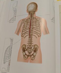 Alternative view of The Concise Book of Muscles, Fourth Edition