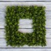 Home Boxwood Wreath-16.5-Inch Square UV Resistant Artificial Spring, Summer, Fall or Winter Outdoor/Indoor Wreaths for Front Door by Pure Garden, 16.5x3, Green 45 91NkJj u0EL