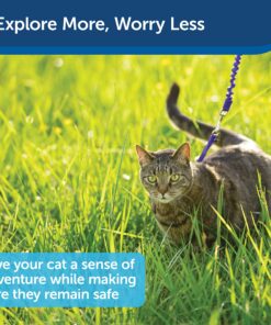 PetSafe Come With Me Kitty Harness and Bungee Leash, Harness for Cats, Large, Royal Blue/Navy 24 91O6qxR6LKL