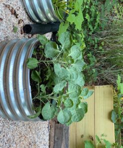 Kotulas Galvanized Steel Round Raised Garden Bed — 2ft. x 12in. 7 91O7QIP3xkL