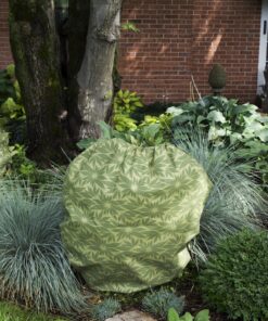 Plumstone 301 ShrubJacket Plant Cover, Medium 4 91O9Bsgg5uL