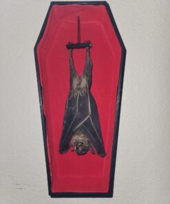 Black Plastic Coffin for Wrestling Action Figures 24 91OBC1zhnOL