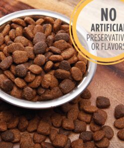 IAMS Smart Puppy Large Breed Dry Dog Food with Real Chicken, 30.6 lb. Bag 30.6 Pound (Pack of 1) 34 91ODuaubDhL