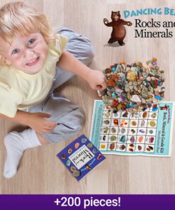 DANCING BEAR Rock, Mineral & Geodes Treasure Hunt Activity Kit (200 Pc Set) Real Shark Teeth Fossils, ID Sheet & Rock Book, STEM Rock, Mineral & Geodes Collection 39 91OYSZ0LUOS