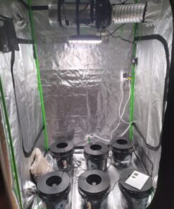 HTG Supply Bubble Brothers DWC Hydroponic System - 6-Site Classic 16 91OZ6QpsTQL