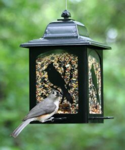 Perky-Pet 363 Birds and Berries Lantern Feeder 8.20 x 8.20 x 10.75 inches 13 91OhEPCHAQL