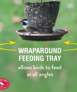 Perky-Pet 305 Holly Berry Gilded Chalet Wild Bird Feeder Gold 30 91Oju7ZfxQL