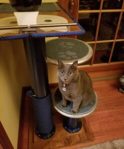 Ravenox Natural Twisted Cotton Rope | Made in The USA | Strong Triple-Strand Cordage for Sports, Décor, Pet Toys, Crafts, Macramé & Indoor Outdoor Use| by The Foot & Diameter (Multiple Color) Royal Blue 1/2 Inch x 25 Feet 23 91OkvV0cJ1L