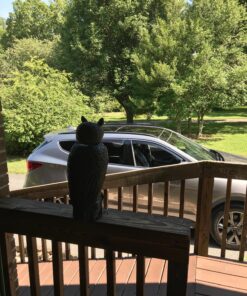 Dalen Fake Owl Decoy to Scare Birds Away from Gardens, Rooftops, and Patios - Scarecrow Provides Chemical-Free Pest Control - Safe and Humane, 18" 360º Rotating Head 40 91OlJkwD20L