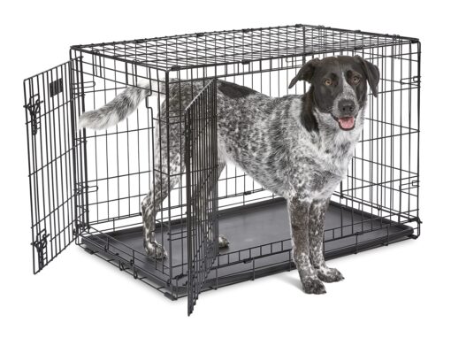 MidWest Homes for Pets Newly Enhanced  Double Door iCrate Dog Crate, Includes Leak-Proof Pan, Floor Protecting Feet, Divider Panel & New Patented Features 36 inch (Pack of 1)