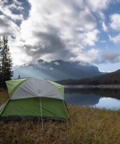 Coleman Sundome Camping Tent, 2/3/4/6 Person Dome Tent with Snag-Free Poles for Easy Setup in Under 10 Mins, Included Rainfly Blocks Wind & Rain, Tent for Camping, Festivals, Backyard, Sleepovers Palm Green 4 Person 26 91OoDS09yIL