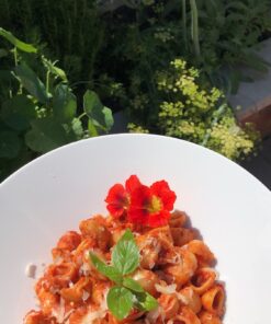 Wildflower Seeds Edible Flowers Mix - 1 Ounce Over 7,000 Open Pollinated Annual and Perennial Seeds 1 Ounce Packet 39 91OoInxJ7jL