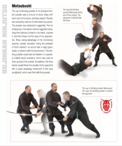 The Illustrated Ninja Handbook: Hidden Techniques of Ninjutsu Paperback, Illustrated 14 91P6NxeB6ML