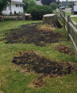 Hydro Mousse Liquid Lawn System - Grow Grass Where You Spray It - Made in USA High Performance Grass Blend 30 91PD1ZFYO8L