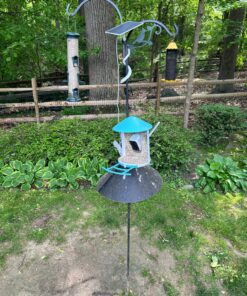 NETVUE Birdfy AI - Smart Bird Feeder with Camera + Solar Panel, Free AI Forever, Auto Capture & Identify 6000+ Bird Species, Bird Videos for Birdwatching, Ideal Gift for Bird Lover Solar Blue 35 91PGyRcACkL 2