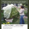 Frost Protek Frost Covers - Frost Blankets for Freeze and Pest Protection - Polypropylene Frost Cloth Bag for Cold Winter Weather & Transitioning Plants - Outdoor Tall Frost Bag 6' Tall Tall Plant Cover 7 91PIEkEYN5L