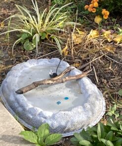 Flex Seal, 14 oz, Gray, Stop Leaks Instantly, Waterproof Rubber Spray On Sealant Coating, Perfect for Gutters, Wood, RV, Campers, Roof Repair, Skylights, Windows, and More 22 91PN8 ZfVzL