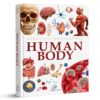 Knowledge Encyclopedia: Human Body (Knowledge Encyclopedia For Children) Hardcover 3 91PgSseXDyL