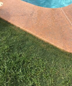 BLACK+DECKER 20V MAX Cordless String Trimmer, 2 in 1 Trimmer and Edger, 12 Inch, Battery Included (LST300) 20V String Trimmer Kit 37 91PwCo2RBML