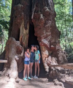 Fugetek 48" Compact Selfie Stick & Tripod, Extendable, Wireless Bluetooth Remote, Lightweight Aluminum, Travel Ready, Compatible with iPhone 14 13 12 Pro Xs Max Xr X 8Plus 7 & Android Black 30 91PzQB6SyvL