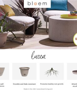 Bloem FBA LP1246 Lucca Planter, 12-Inch, Terra Cotta 12" 8 91Q2YjReDsL 1