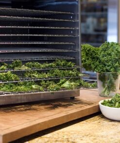 Weston 74-1001-W PRO-1000 Stainless Steel Food Dehydrator (10 Trays) 16 91Q3J8rtkWL