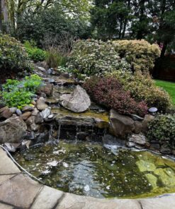 Ortho Snake B Gon Snake Repellent Granules, 2-Pound (Not Sold in AK) 2 Pound (Pack of 1) 14 91Q8qLf9ZkL