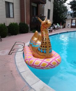 AGPTEK Electric Air Pump with 3 Nozzles, 110V AC/12V DC, Portable Quick-Fill Perfect Inflator/Deflator Pumps for Outdoor Camping, Inflatable Cushions, Air Mattress Beds, Boats, Swimming Ring 35 91QDWD76eL