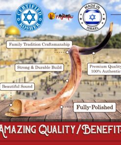 43"-47" Yemenite Shofar Kosher & polish+ Free Bag 12 91QDfCoohvL 1