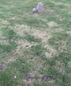 Emsco Group Landscape Rock – Natural Sandstone Appearance – Small – Lightweight – Easy to Install 39 91QEZk5yq5L