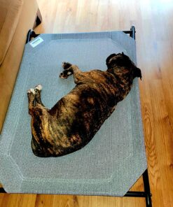 COOLAROO The Original Cooling Elevated Dog Bed, Indoor and Outdoor, Large, Grey 51.0"L x 31.5"W x 8.0"Th 40 91QHliOh2sL