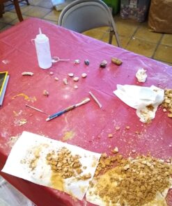 NATIONAL GEOGRAPHIC Mega Fossil Dig Kit - Excavate 15 Genuine Prehistoric Fossils, Kids Educational Toys, Great Science Kit Gift for Girls and Boys (Amazon Exclusive) 39 91QIQ X2ENL