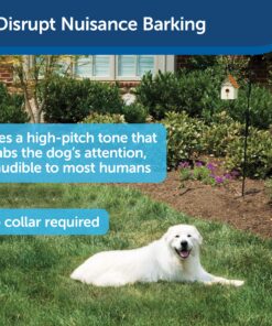 PetSafe Outdoor Ultrasonic Bark Control - Viral on TikTok - No Barking Deterrent for All Dog Sizes - Up to 1/4 Acre Coverage - Weatherproof - Great for Backyards - Bird House Design Standard 19 91QQrX6eDYL